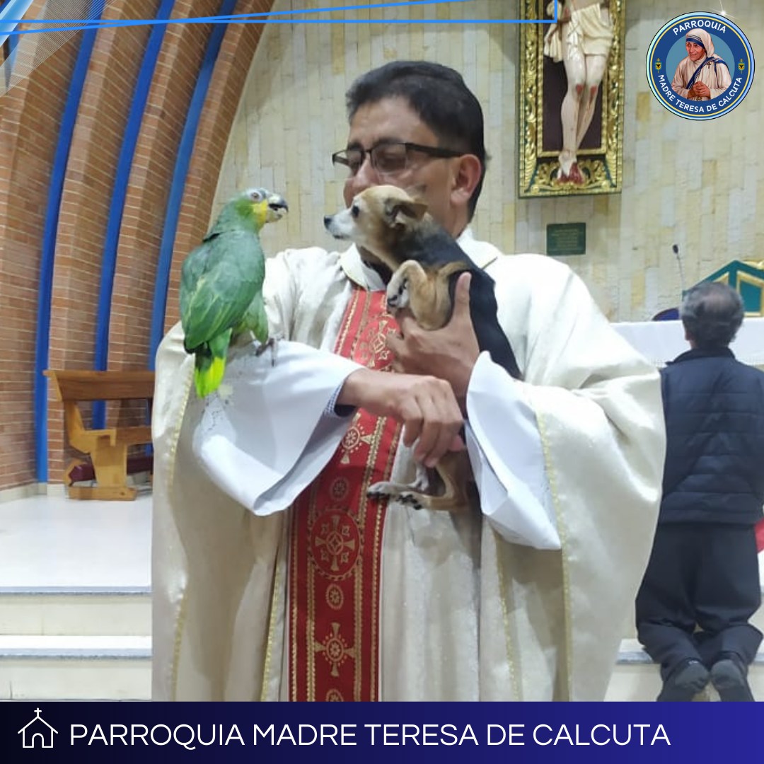 BENDICIÓN DE ANIMALES
