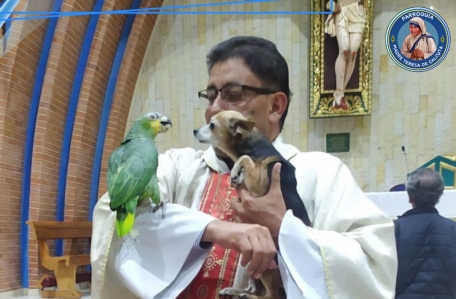 BENDICIÓN DE ANIMALES
